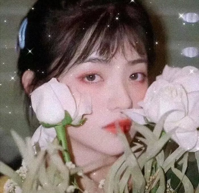 掌脸